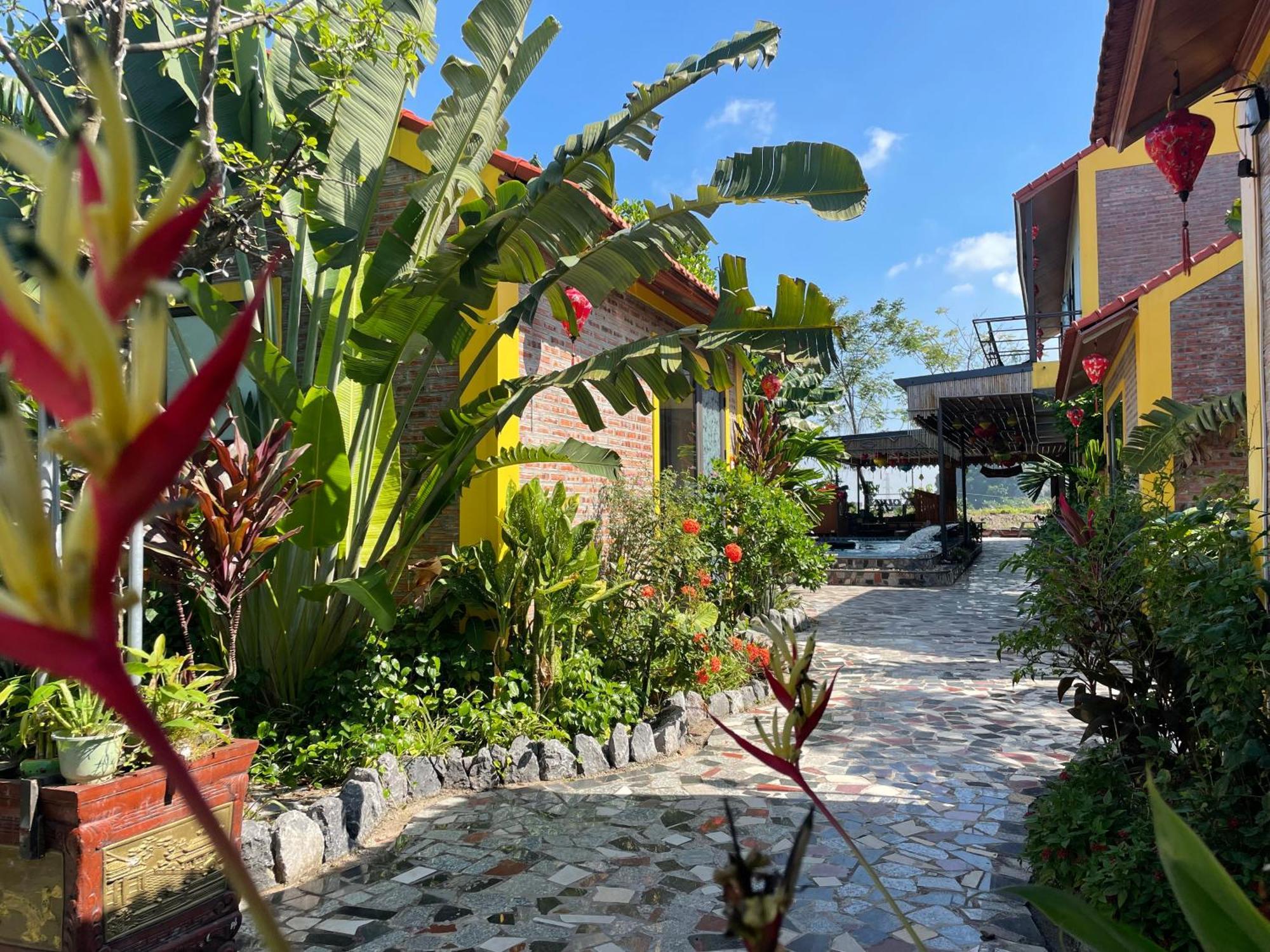 Ninh Binh Royal Homestay Zewnętrze zdjęcie